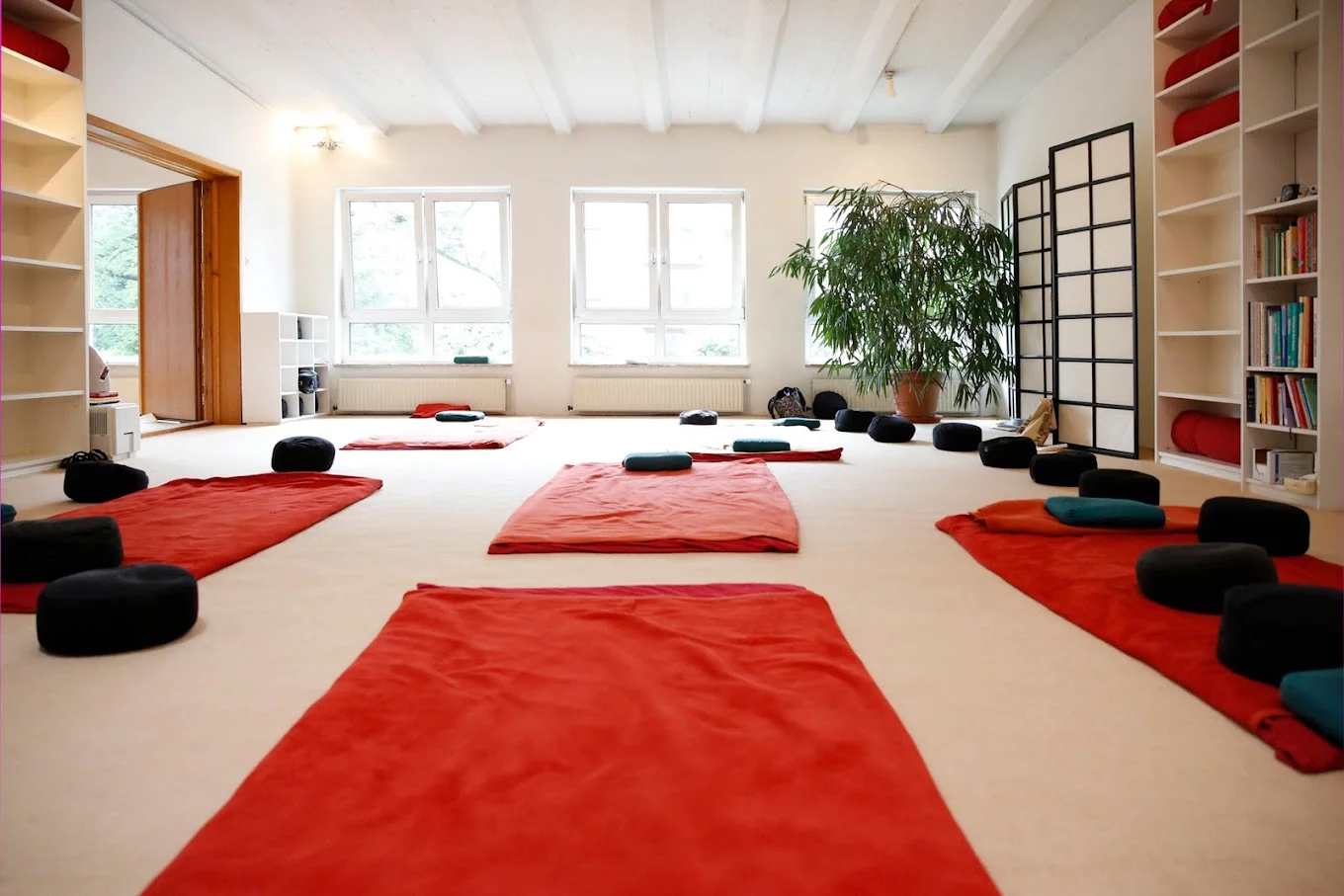 Shiatsu Summer-School 26: Grundlagenkurs für Anfänger*innen Basis-A Bild 2