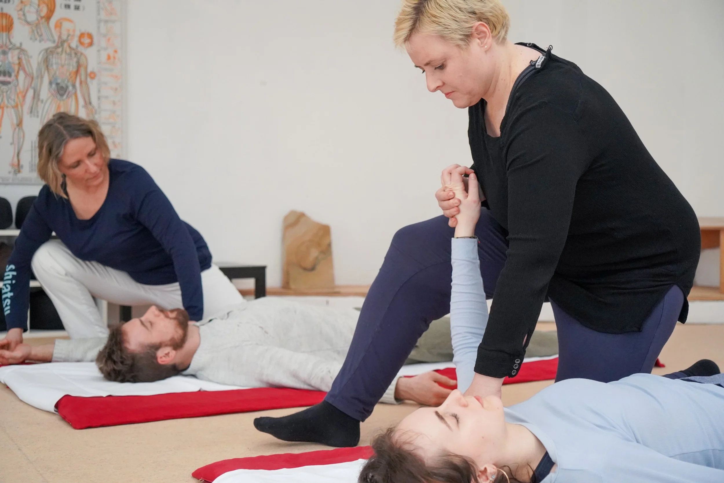 Körperarbeit Shiatsu: Grundlagenkurs für Anfänger*innen- die ersten 4 Meridiane behandeln (Shiatsu Basis A-Kurs Sept 26) Bild 2