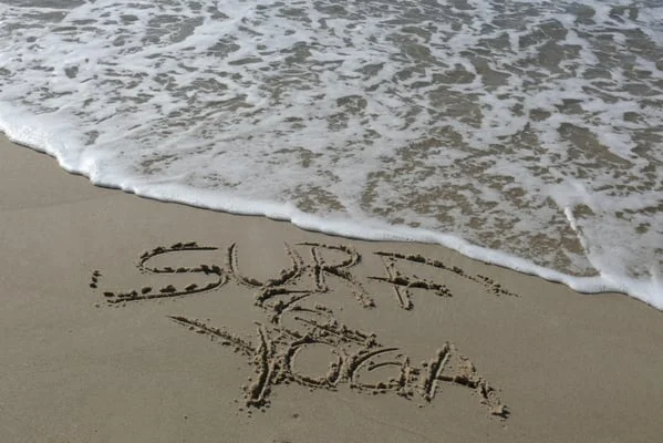 Yogawoche Juni 2026 (Hamburg) - Kompetenzen für berufliche Stressbewältigung und mentale Stärke  Bild 2