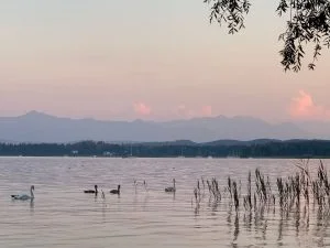 Kommunikation im Kloster Bernried am Starnberger See - GFK nach Marshall B. Rosenberg Bild 3