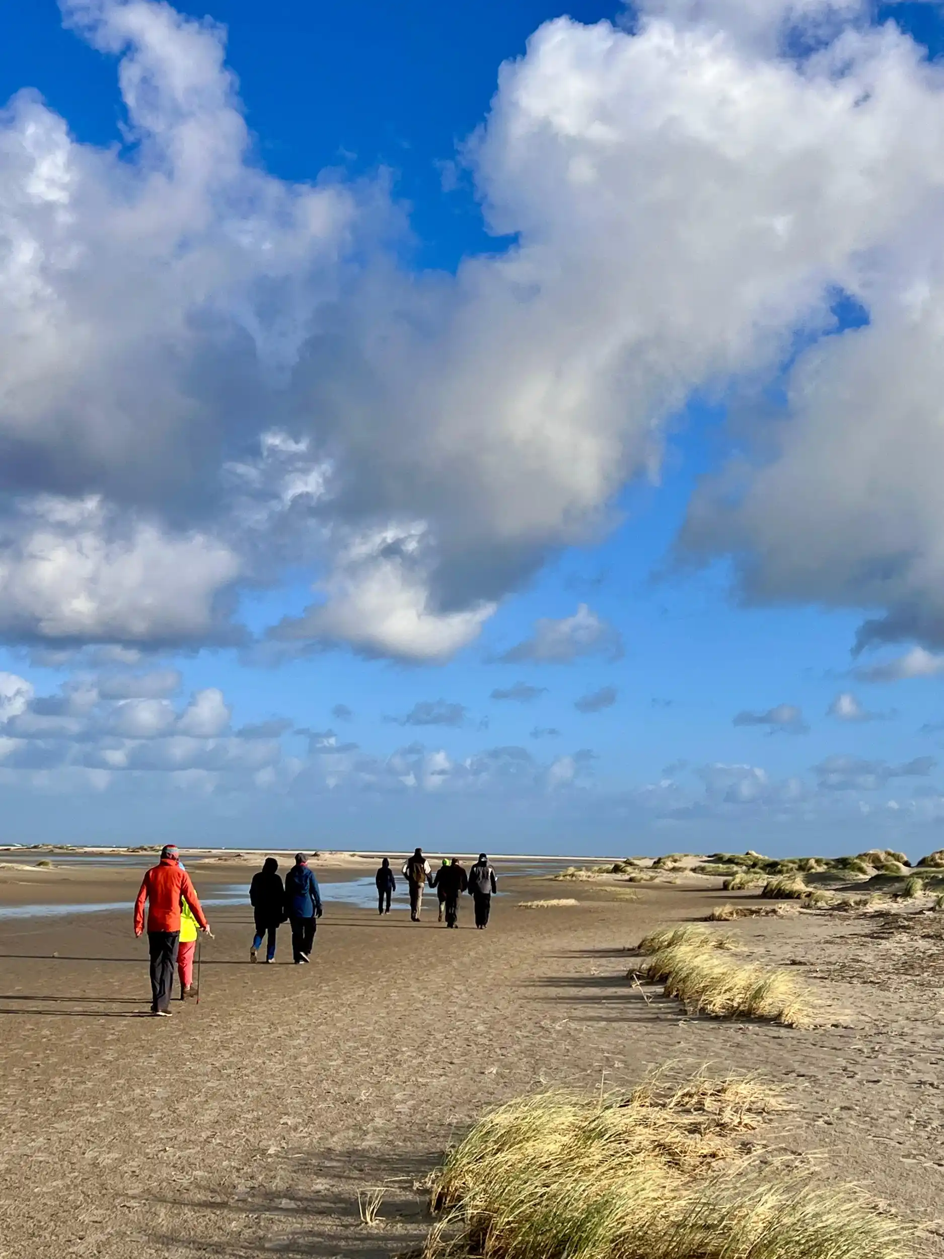 Entspanntes Office - Word und Excel - mit QiGong auf der Insel Borkum Bild 21
