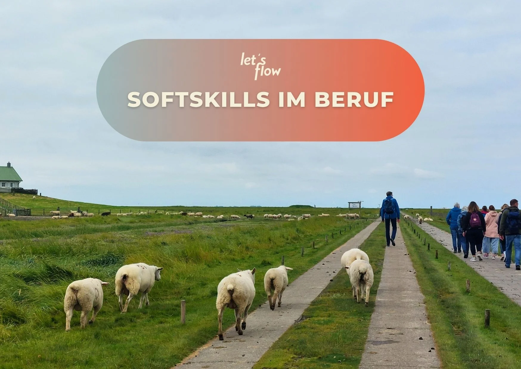 Wandern und Kommunikationsfähigkeit stärken an der Ostsee Bild 1