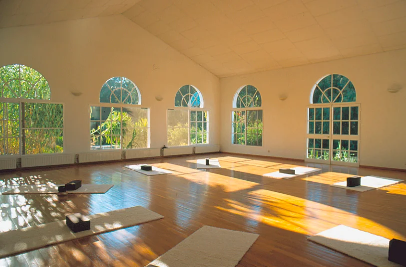 Shine your Light – Stressbewältigungstechniken und Faszienentspannung mit Yoga für das (Berufs-)leben Bild 2