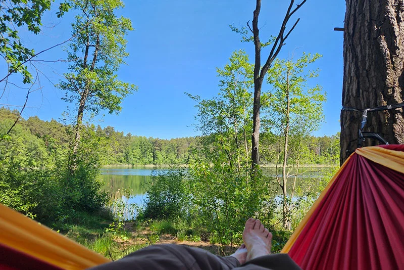 Waldbaden zur achtsamkeitsbasierten Stressbewältigung im Berufsalltag – Einführung in die Waldprävention mit Fasten und Yoga Bild 2