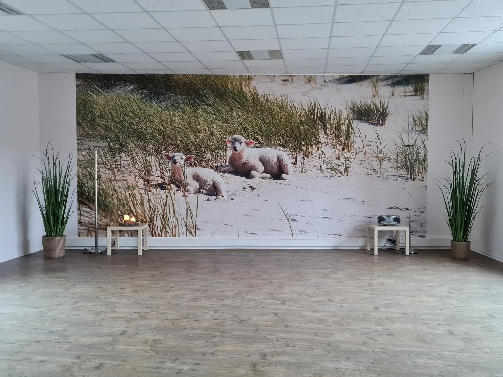 Stressbewältigung durch Achtsamkeitsschulung -mit Methoden vom MBSR Training, Stressniveau im (Berufs-)Leben senken im Juli 2026 Bild 1