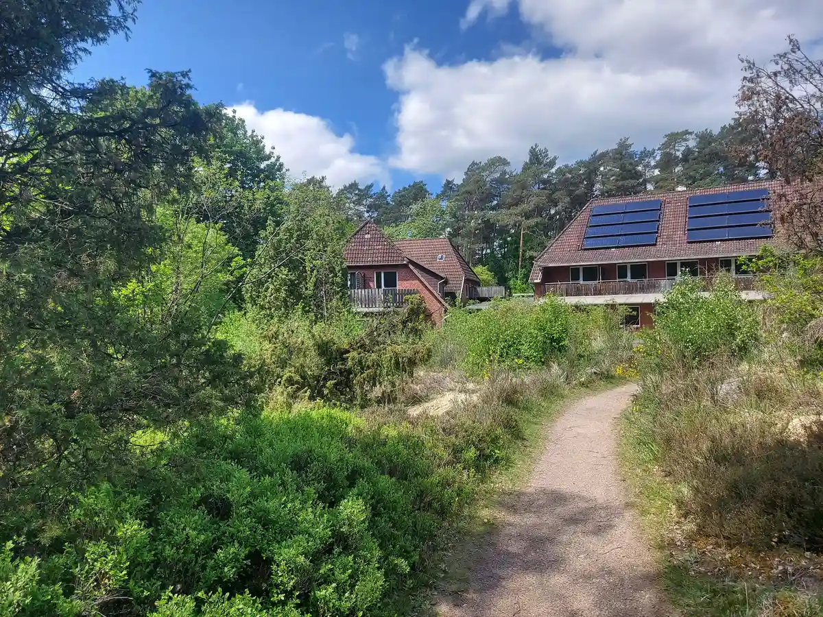 Inneren Stress reduzieren in der Lüneburger Heide Bild 1