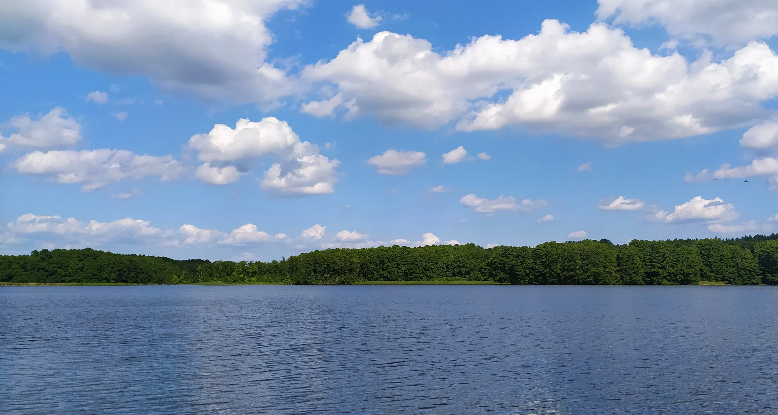 Heiter bis wolkig – Yoga-Basics für die Hochs und Tiefs in Beruf und Alltag - Mentale Stärke und Flexibilität als Ressource in einer leistungsorientierten Gesellschaft Bild 1