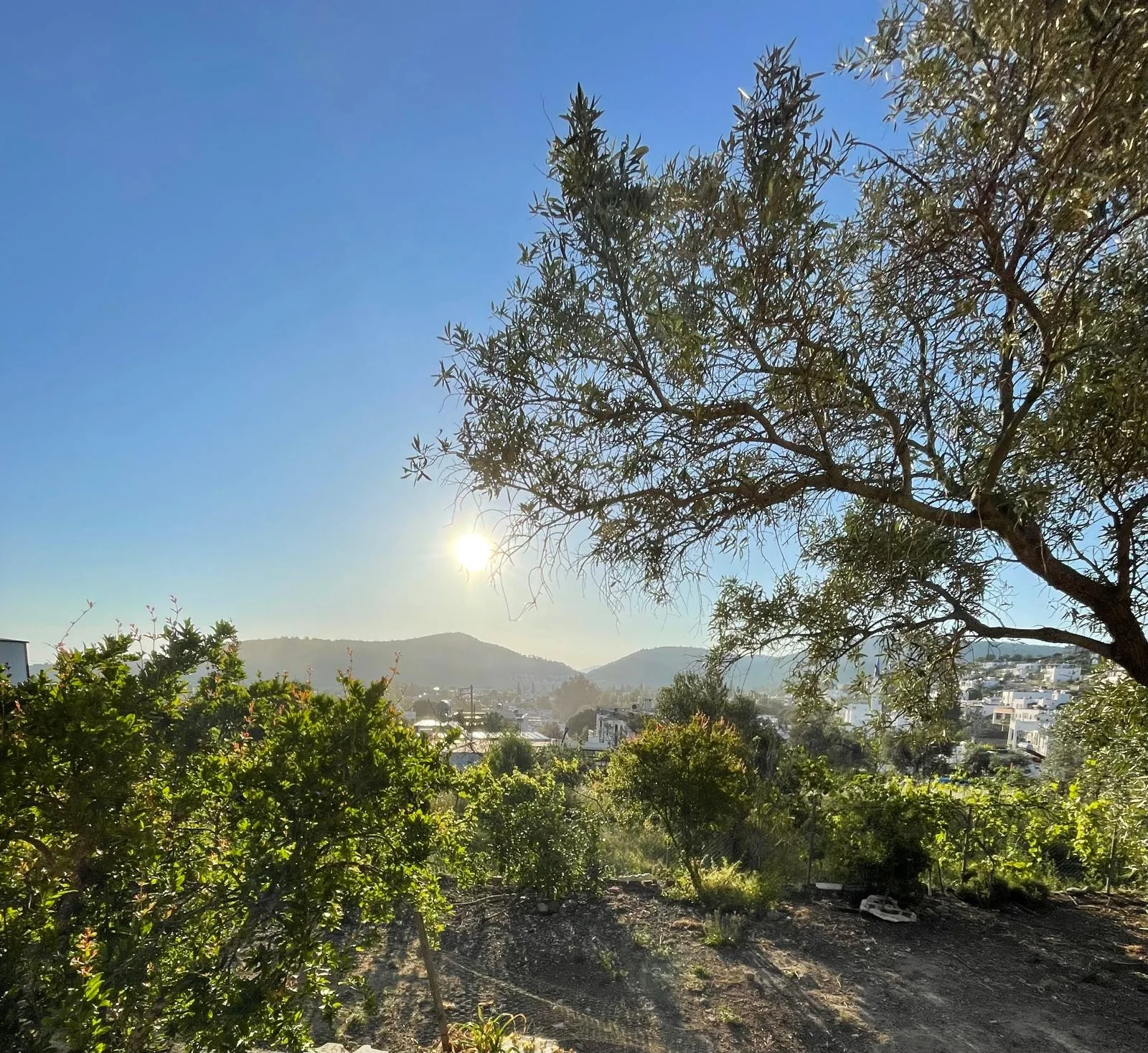 Starker Rücken - Yoga, Pilates und Mobility für Beruf und Alltag  Bild 1