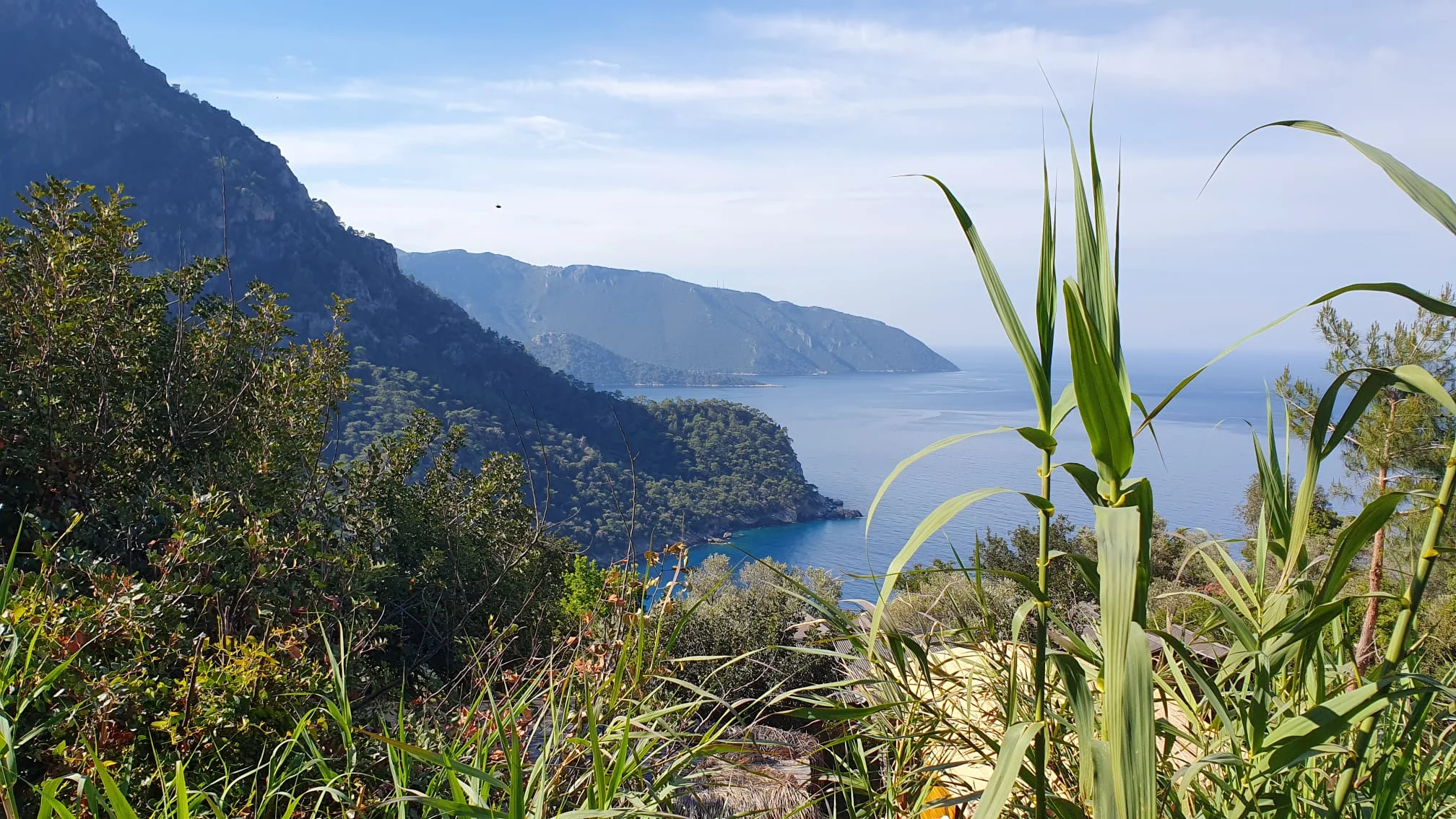 Pilates und Yoga für mehr Ruhe und Stabilität in Beruf und Alltag - Prävention und Stressmanagement in einer leistungsorientierten Arbeitswelt Bild 1