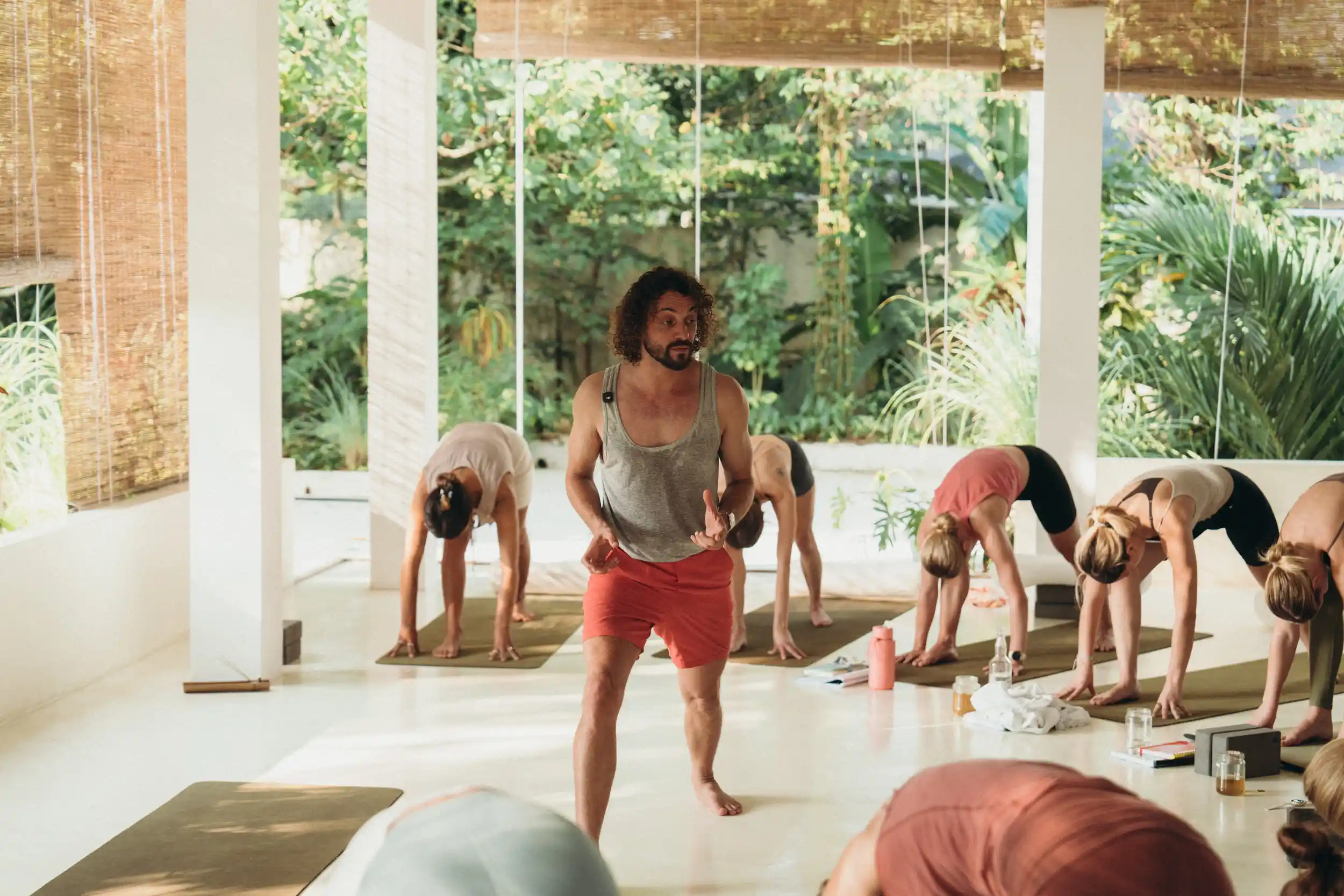 200-Stunden Hatha Yoga Lehrer Ausbildung Bild 1