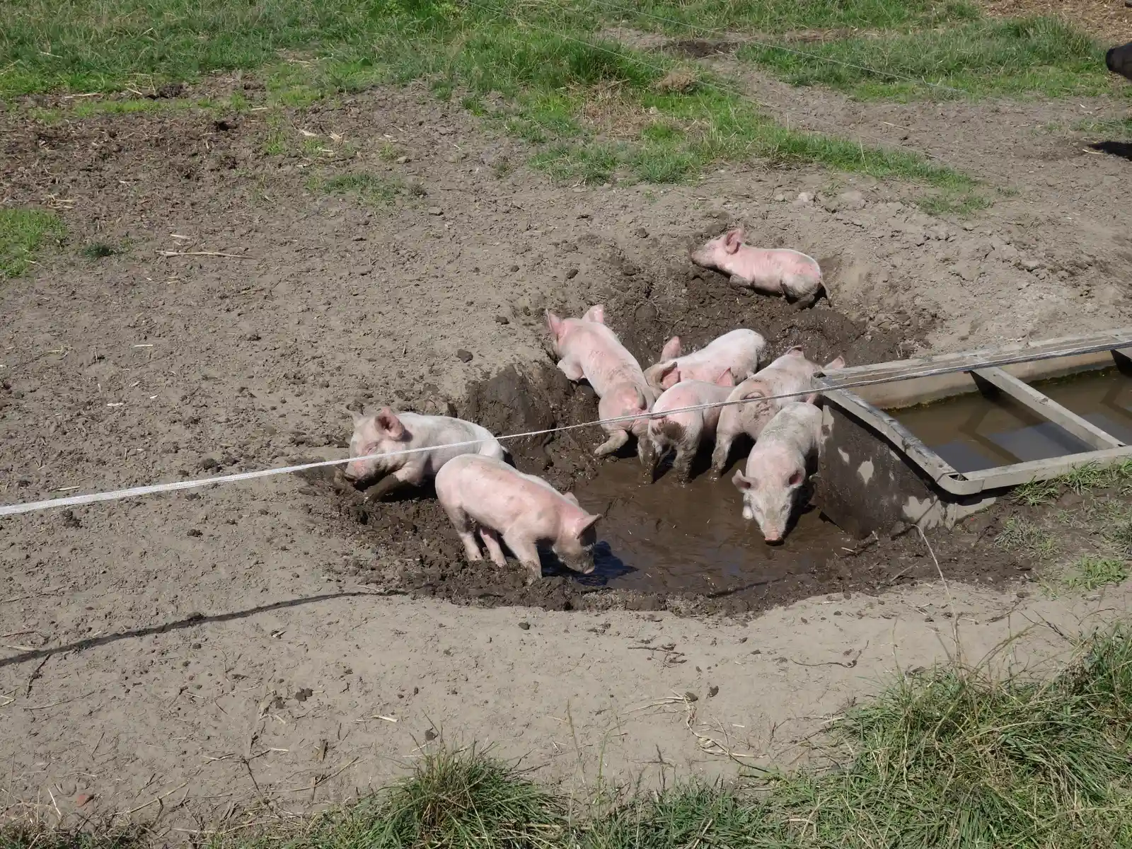 Landwirtschaft im Wandel Bild 3