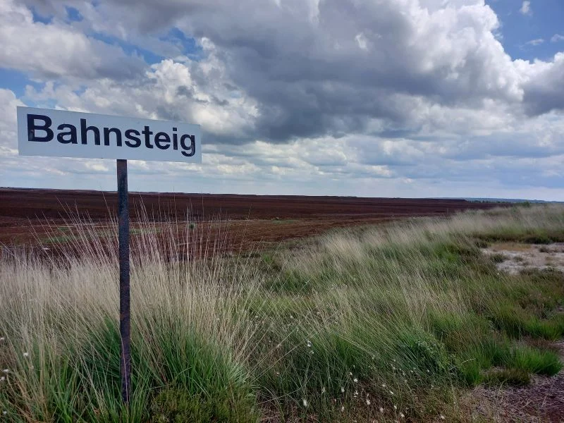 Von Moorleichen und Trichterbechern: Einblicke in die Frühgeschichte und Archäologie Ostfrieslands Bild 1