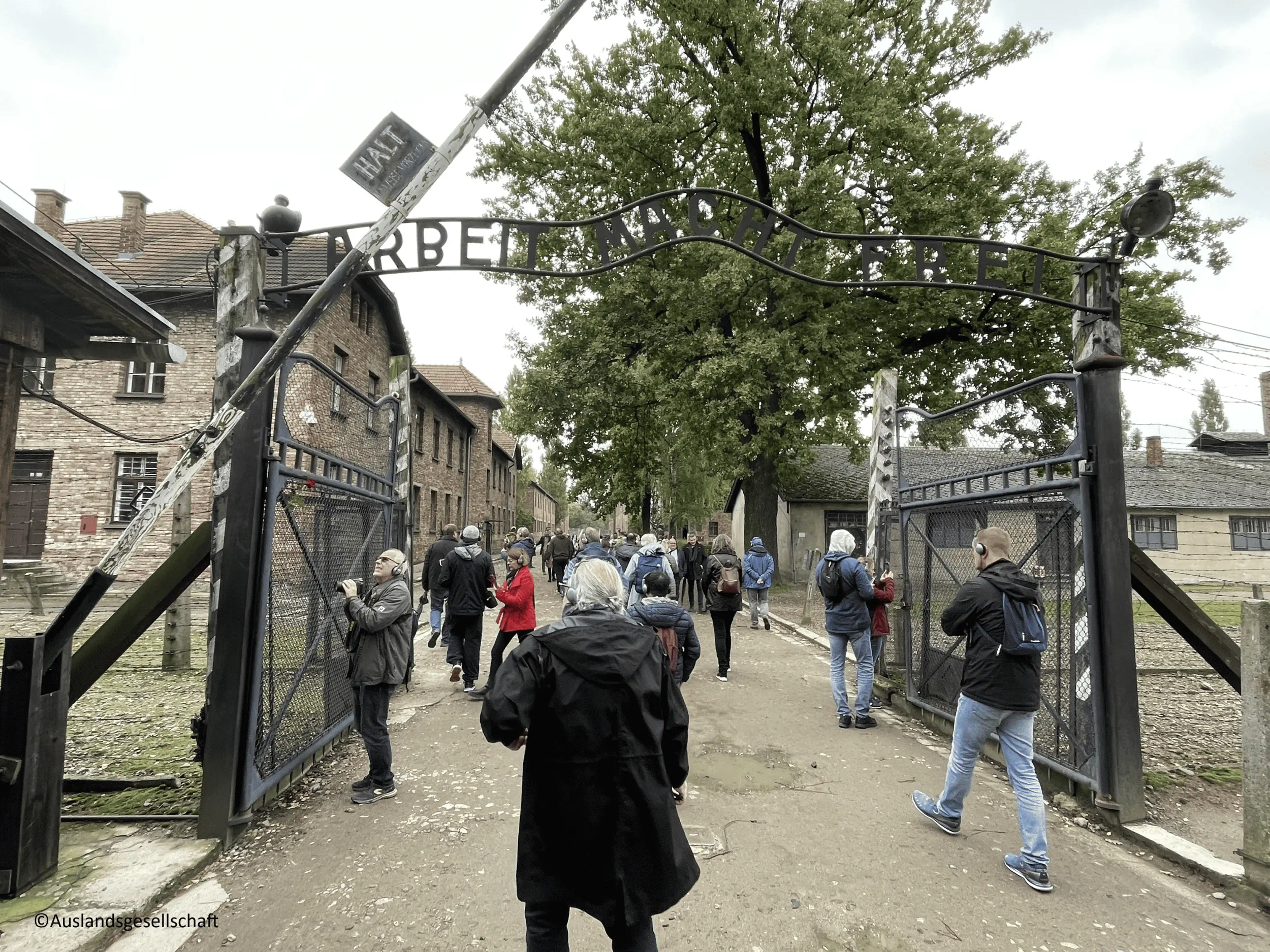 Krakau und Gedenkstätte Auschwitz Bild 2