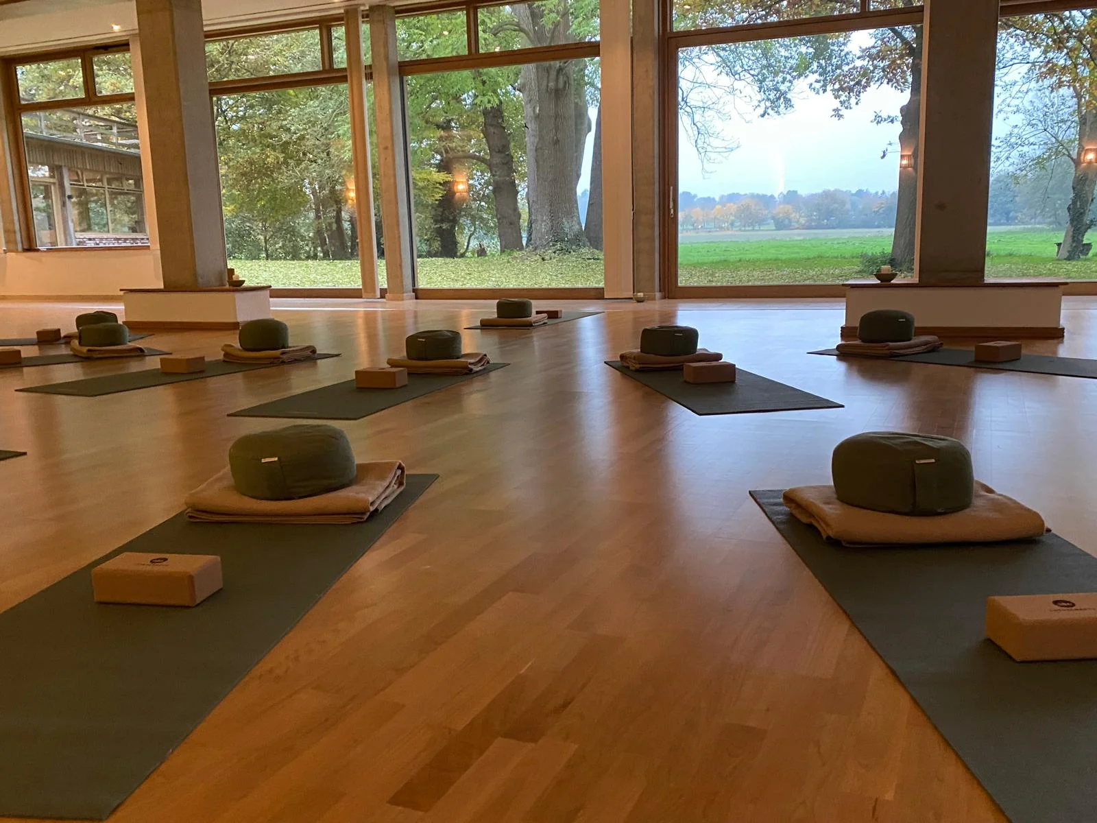 Zurück zu Dir! Stress abbauen und Resilienz entwickeln mit Yoga und Achtsamkeit im Beruf und Alltag. Bild 1