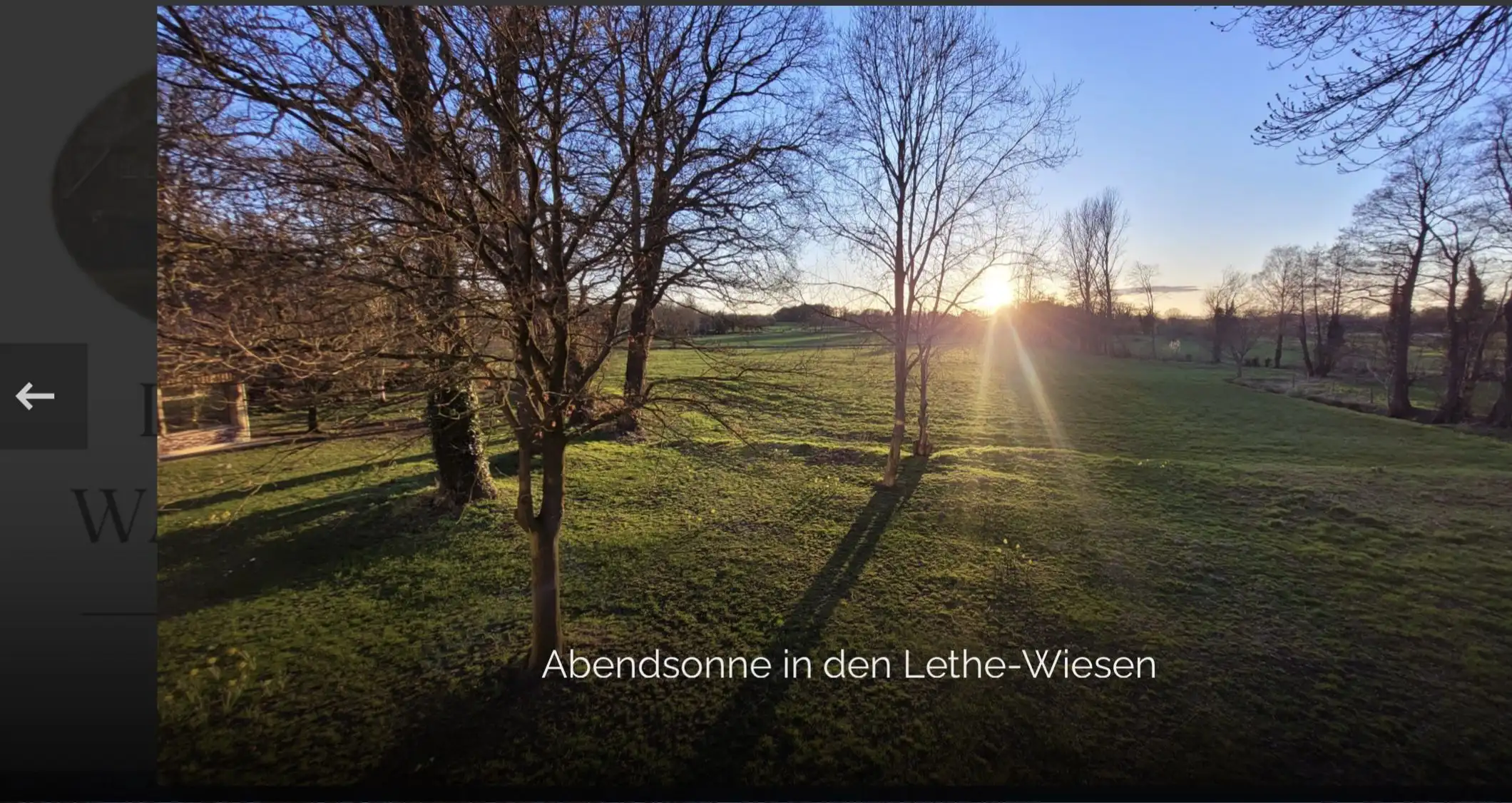 Zurück zu Dir! Stress abbauen und Resilienz entwickeln mit Yoga und Achtsamkeit im Beruf und Alltag. Bild 2