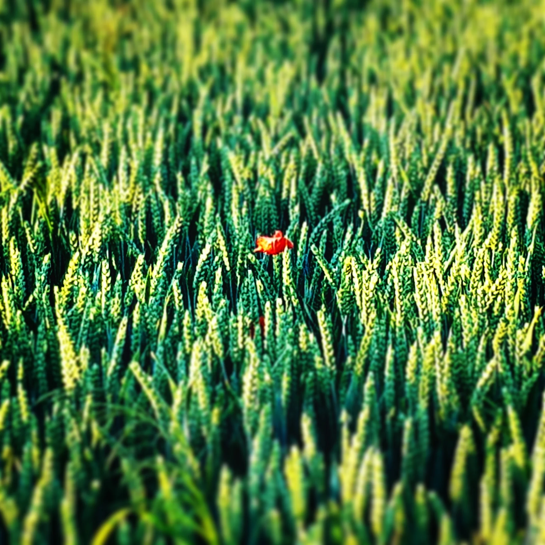 Bleib gesund! - Resilienztraining für Beruf und Alltag Bild 1