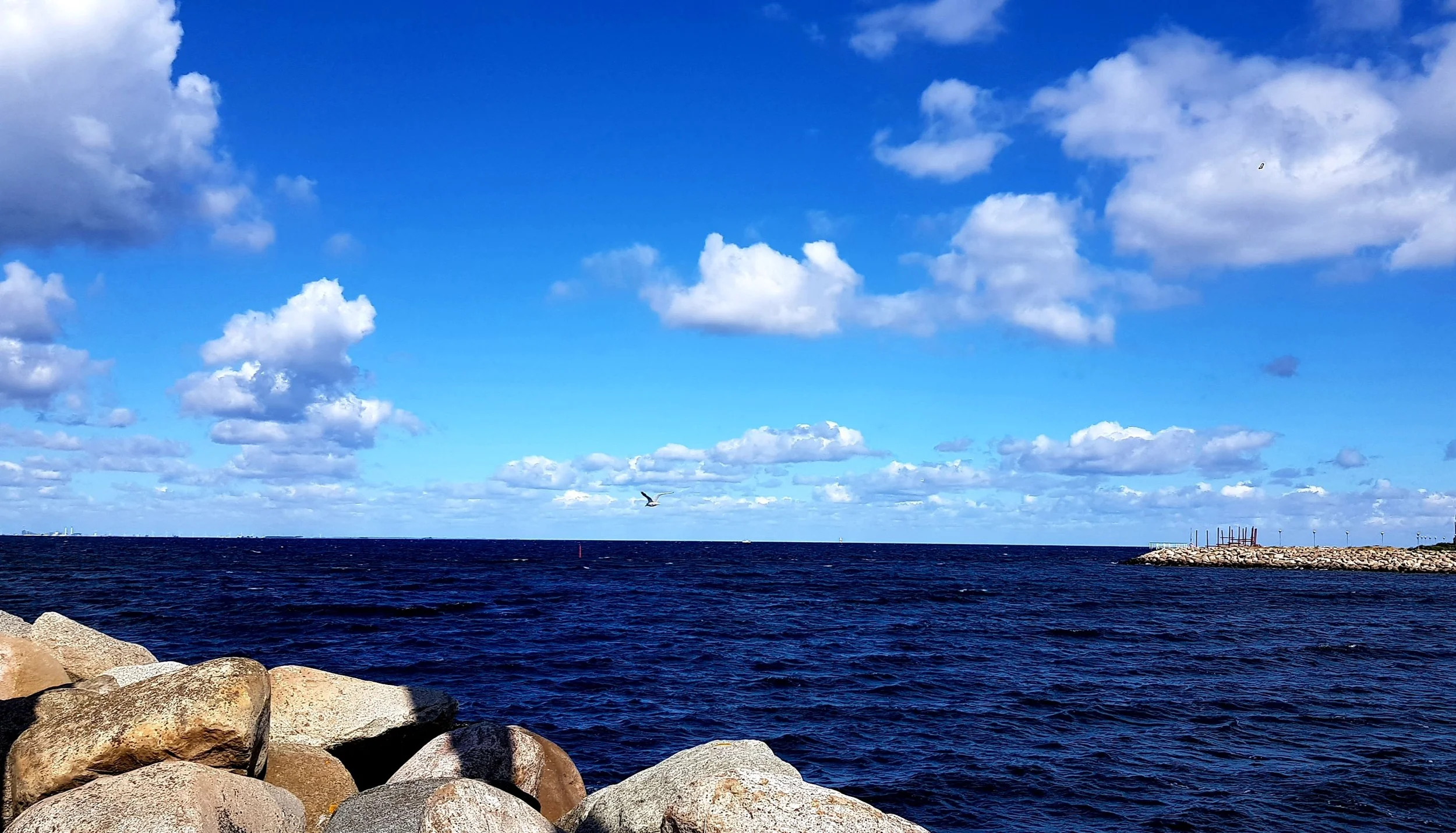 Yoga, Rückenfit und Faszientraining für einen flexiblen Rücken in Beruf und Alltag Bild 1