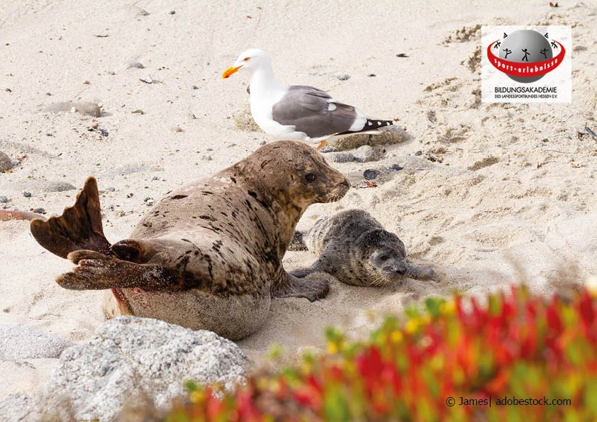 Spiekeroog – eine Nordseeinsel im Klimawandel - Herausforderungen für den Nationalpark und das Weltnaturerbe Wattenmeer Bild 1