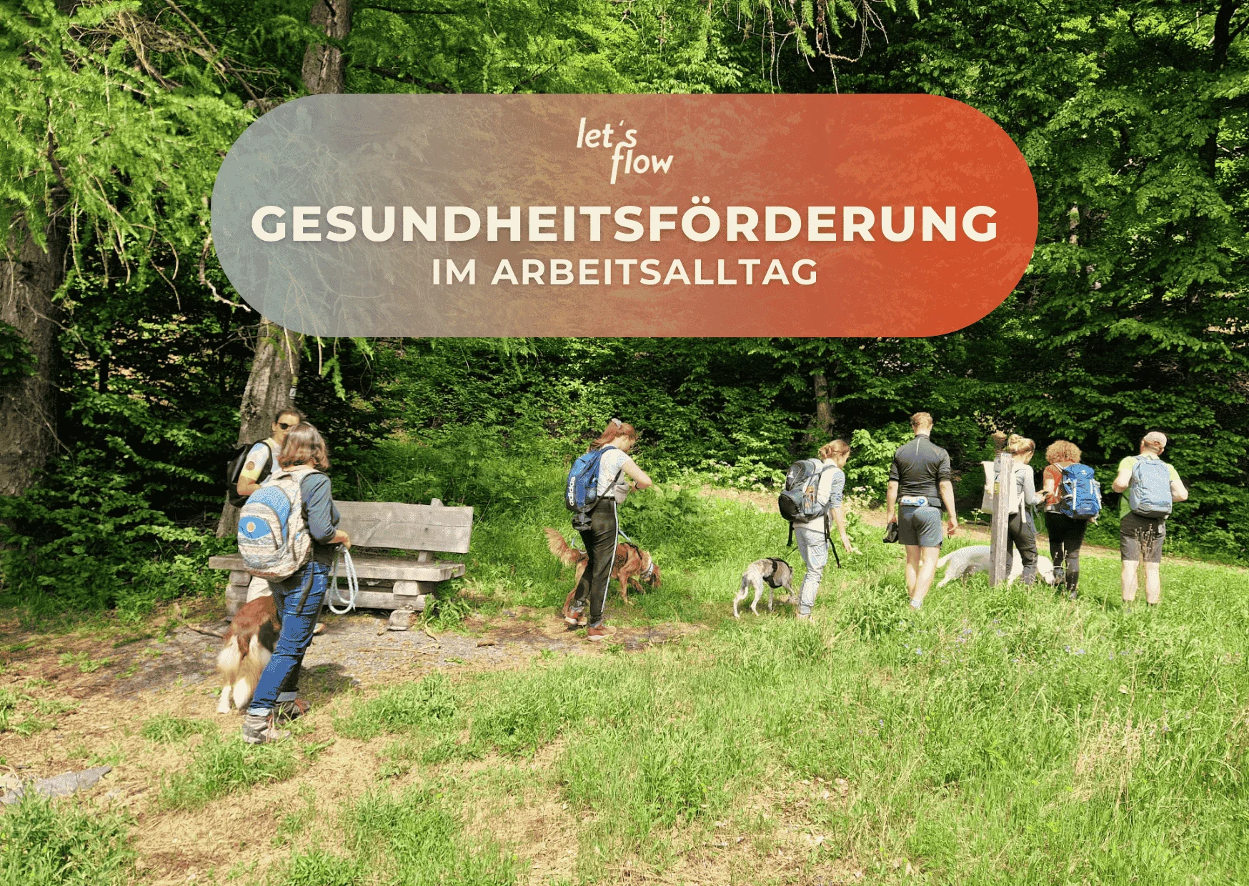 Wandern und Ressourcen bewusst nutzen in Bad Berleburg Bild 1
