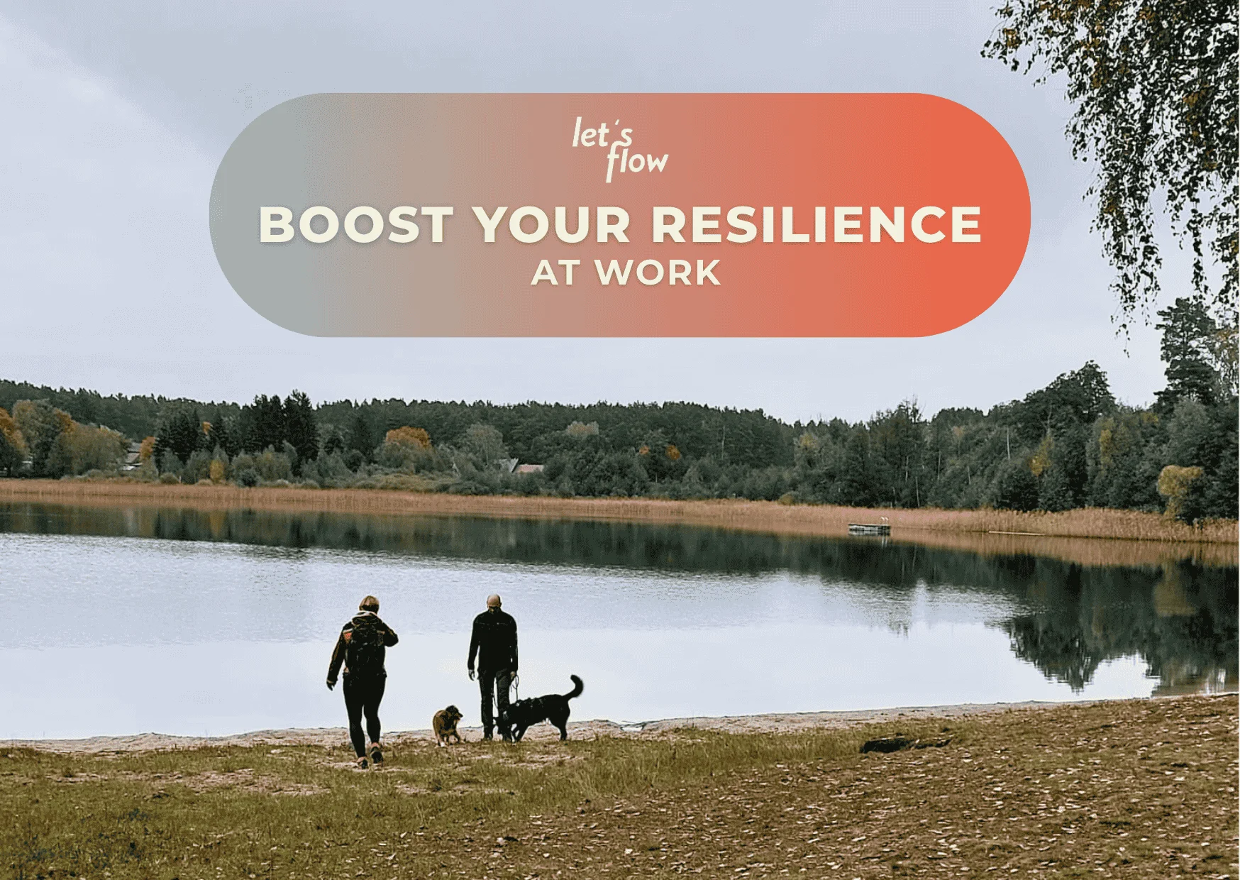 Wandern und Resilienz stärken in der Schorfheide Bild 1