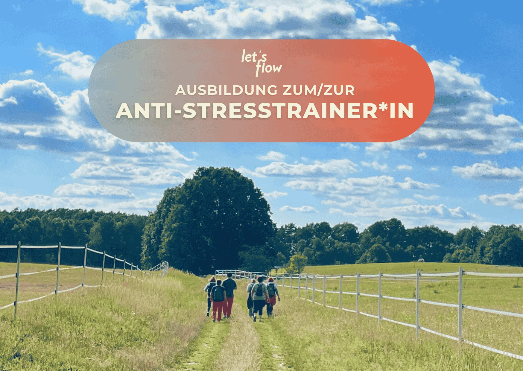 Wandern und Antistresstrainer*in werden in der Schorfheide Bild 1