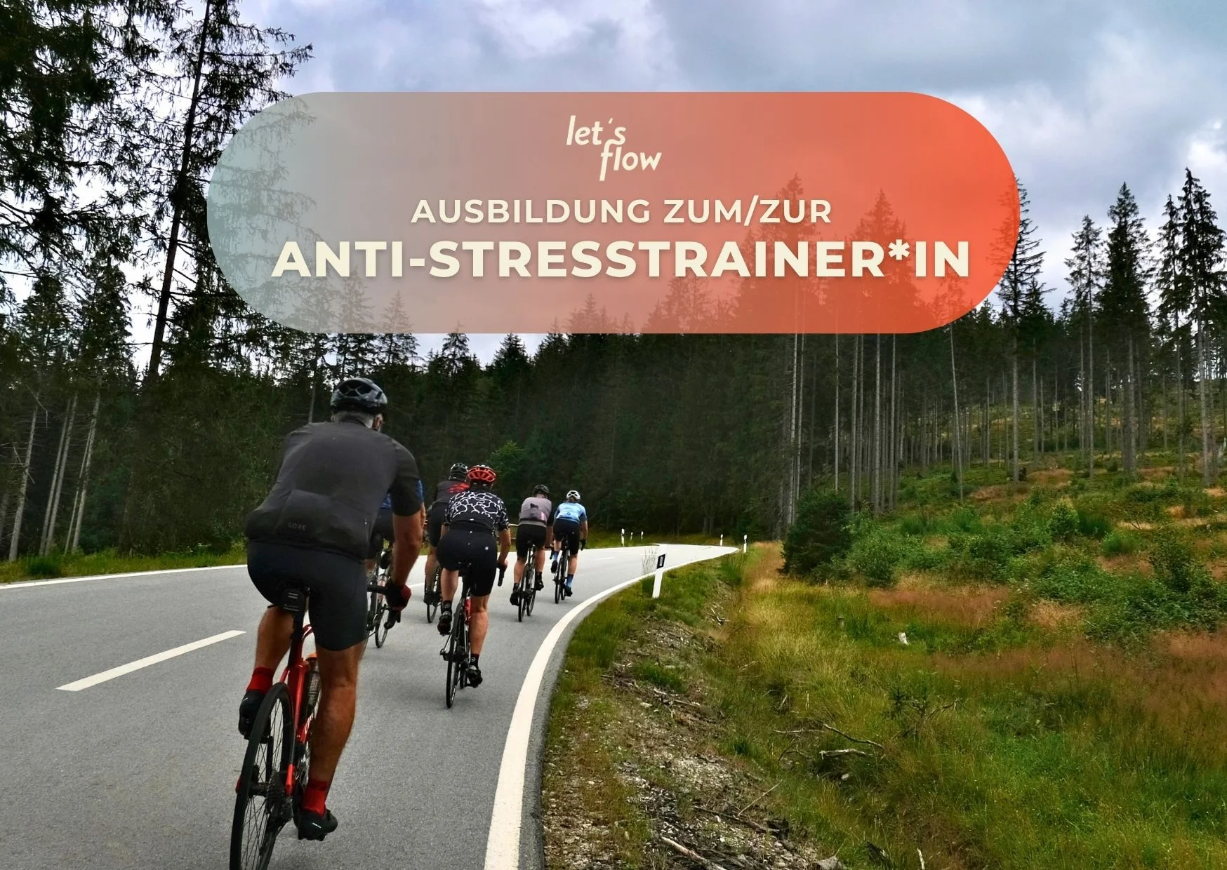 Rennradfahren und Antistresstrainer*in werden in Fuschl am See Bild 1