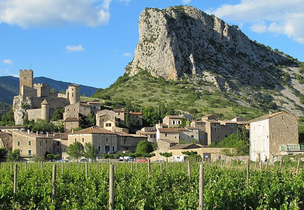 Languedoc  Ökologie einer Landschaft Bild 1