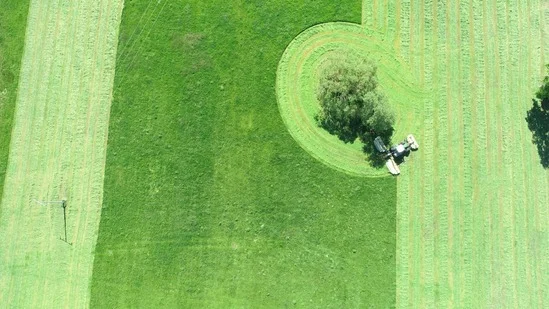 Vom Feld in den Supermarkt und dann auf den Teller… wie läuft das heute mit der Landwirtschaft? Bild 1