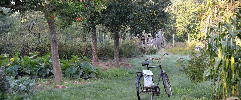 Permakultur und Selbstvervorgung (im Ökodorf Sieben Linden) Bild 1