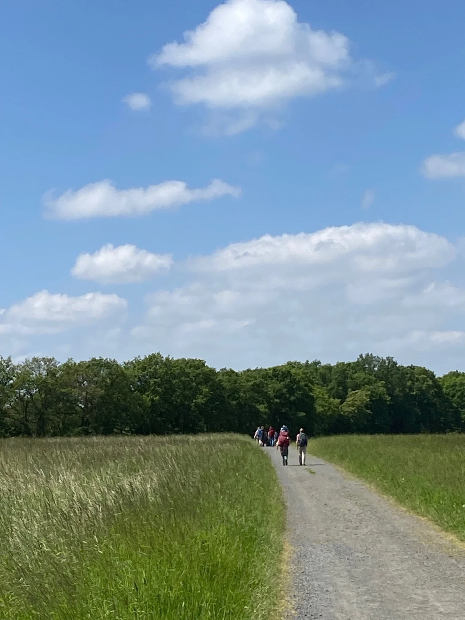 Rheinsteig - Wandern auf den Spuren der Demokratie Bild 1