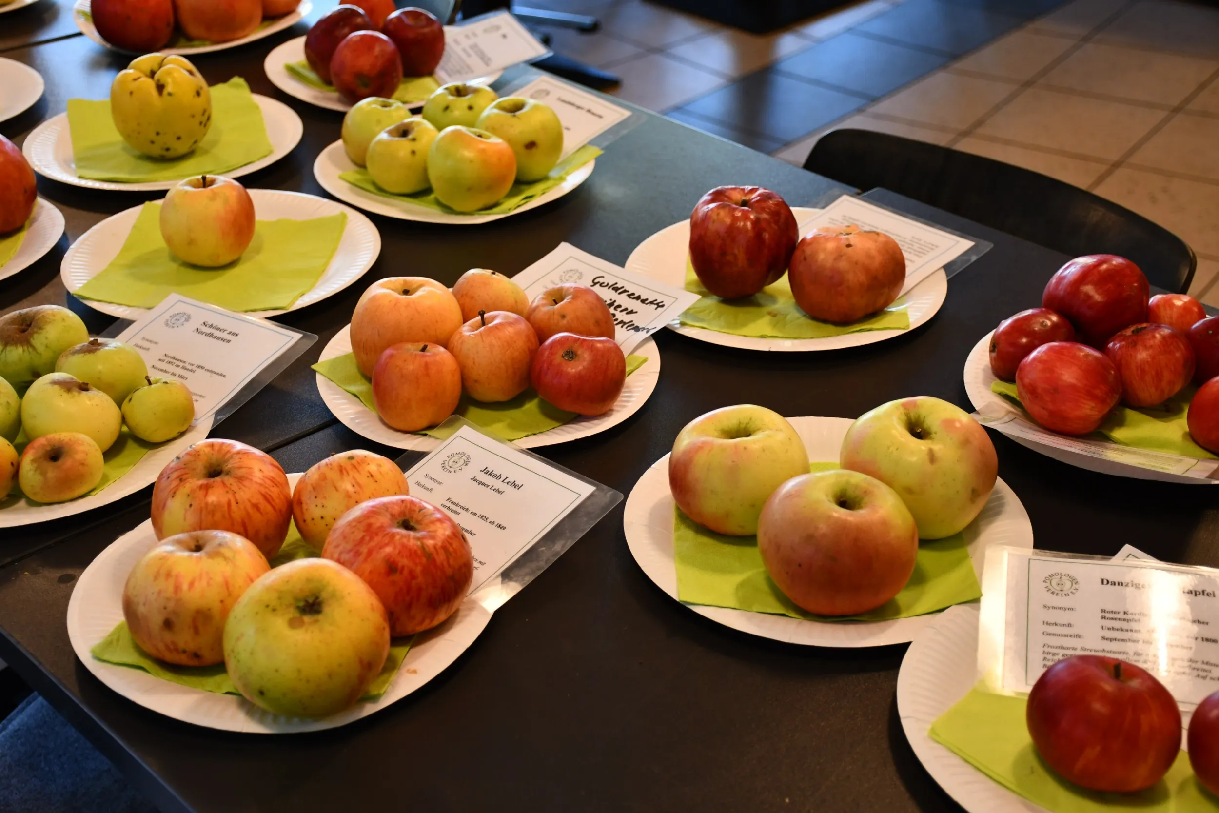 Obstbaumwart:in - einjähriger Ausbildungslehrgang  Bild 2