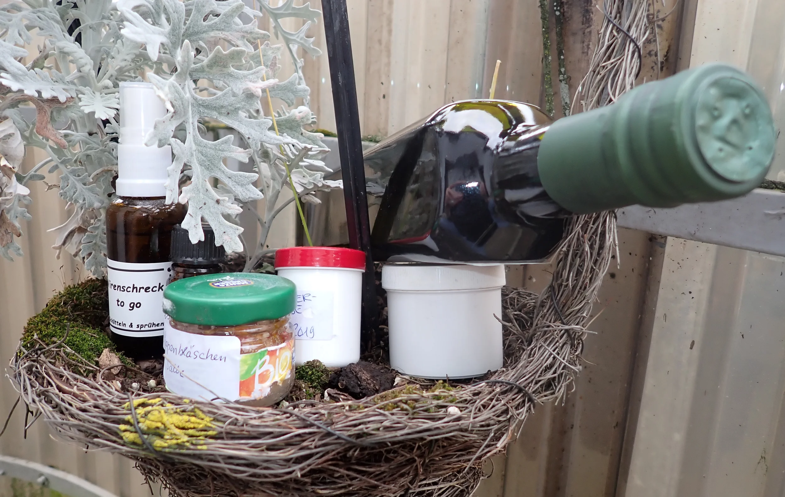 Aromatherapie: Natürlich gesund mit ätherischen Ölen Bild 1