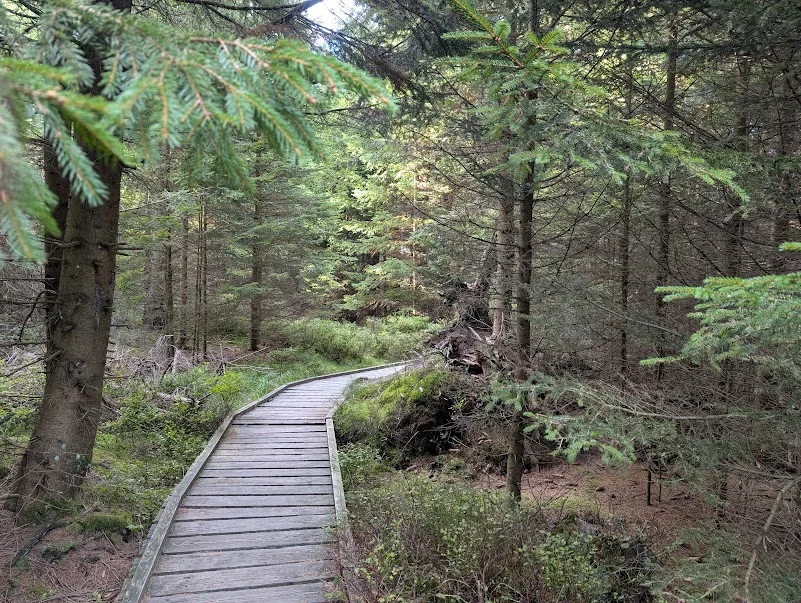 Natürliche Wege zur Erhaltung der Arbeitskraft Bild 1