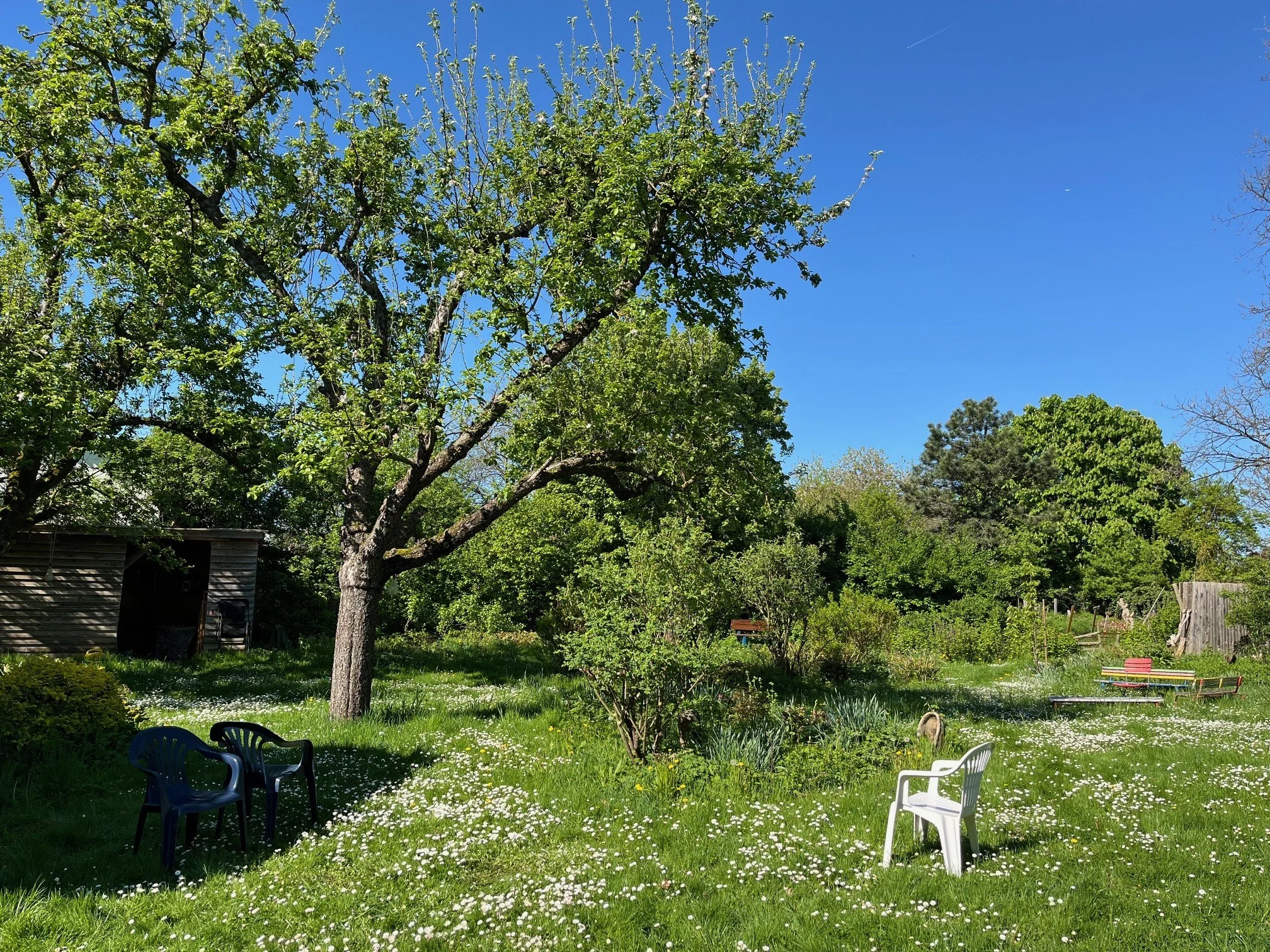 Frauen in Balance – Aktive Stressbewältigung mit Yoga und Meditation Bild 1