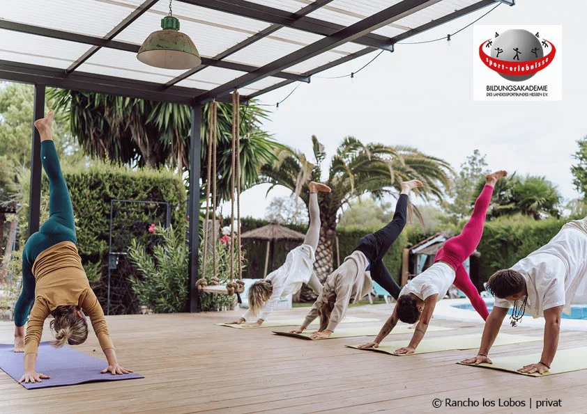 Zen & Zeitenwende: Yoga und Achtsamkeit für innere Ruhe und gesellschaftliche Veränderung Bild 1