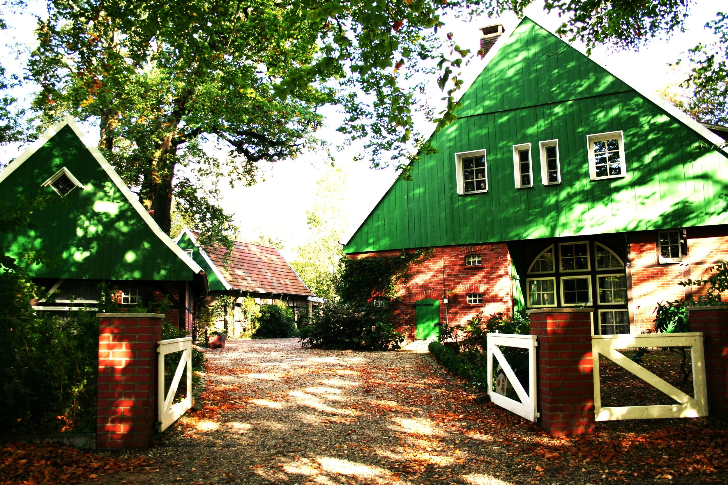 Yoga und Achtsamkeit in der Natur – Stressbewältigung für Beruf und Alltag Bild 1