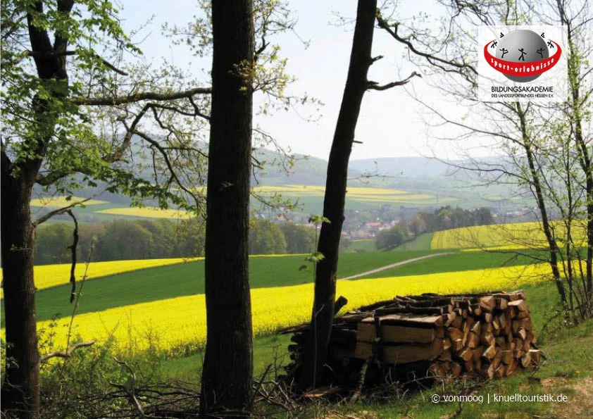 Der Wind in den Weiden - Flexibilität als Anforderung im Beruf und Herausforderung in der digitalisierten Gesellschaft Bild 1