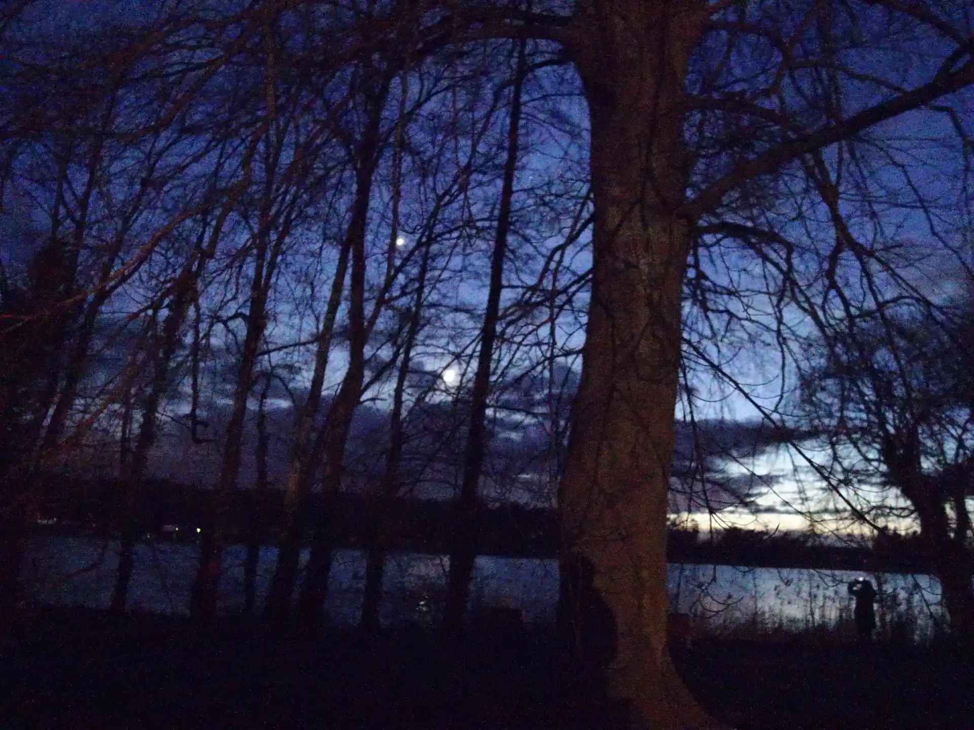 Licht aus! 5 Tage rund um Dunkelheit, Licht(verschmutzung) und Sterne Bild 1