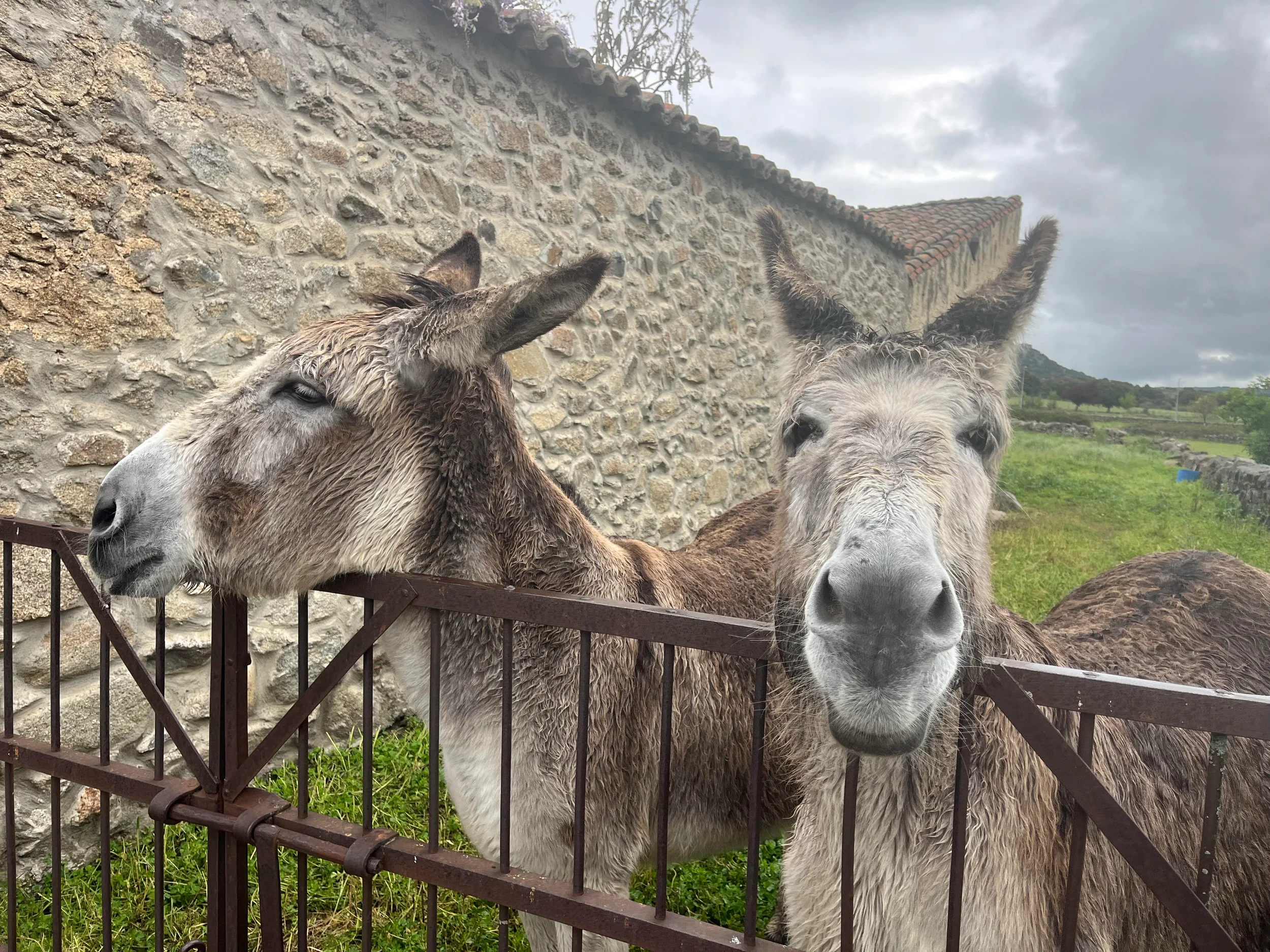 Entwickle deinen ganz persönlichen Führungsstil basierend auf deinen individuellen Stärken in Spanien Bild 1