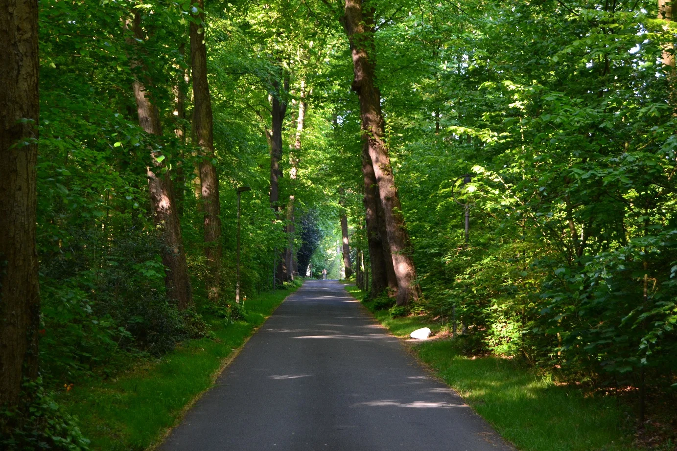 Resilienter werden! Wie wir die Natur für unsere Widerstandsfähigkeit nutzen können ein Bildungsurlaub inkl. Vollverpflegung und Übernachtung im Einzelzimmer mit Dusche und WC Bild 2