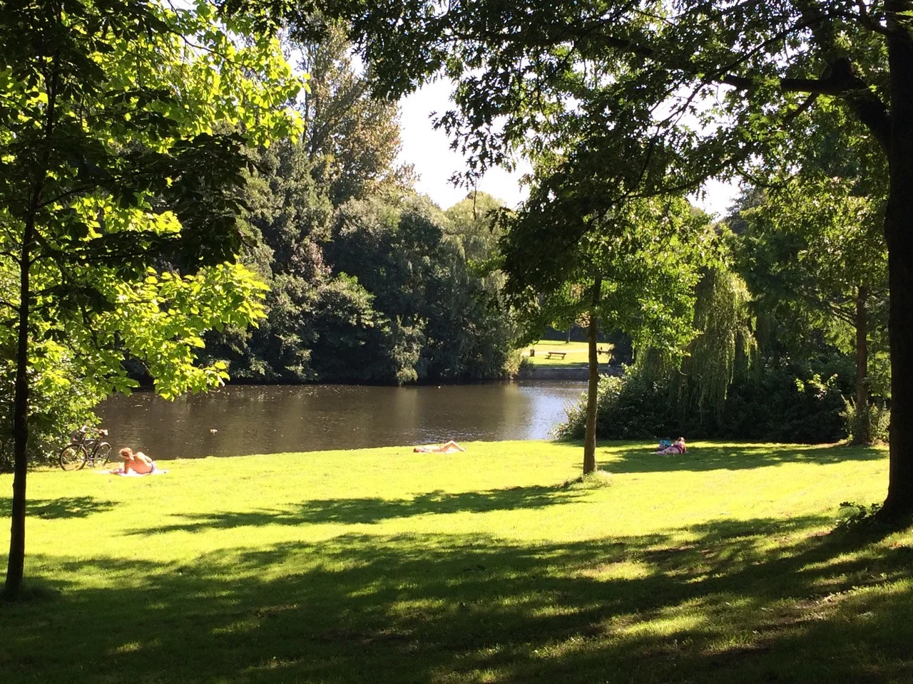 Stressbewältigungskompetenzen stärken mit MBSR / Achtsamkeit  Bild 2