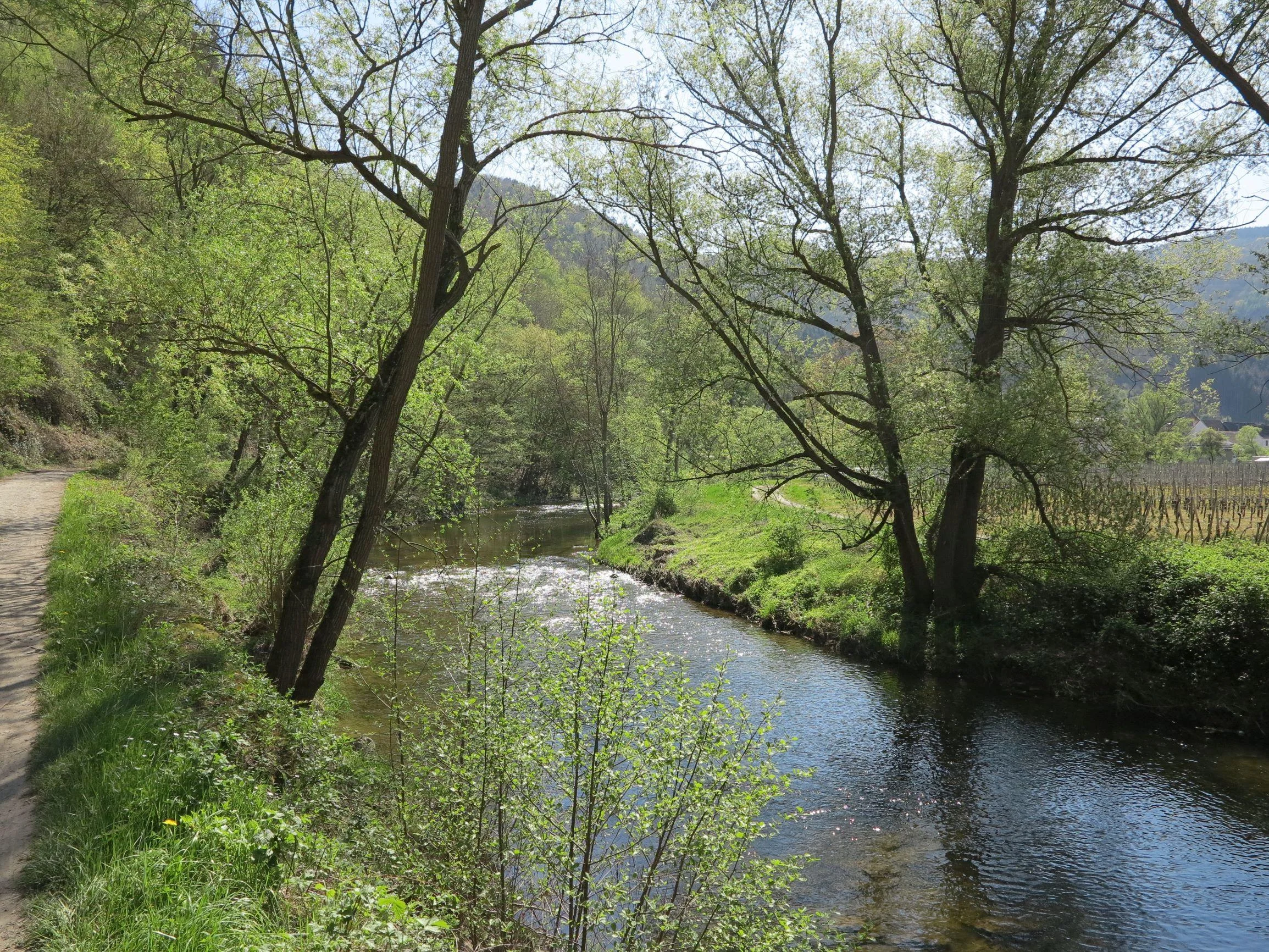 Das Ahrtal – Wandel in Handwerk und Tourismus in Steilhängen - Gesellschaftliche und politische (klimapolitische) Herausforderungen am Beispiel des Ahrtals Bild 2