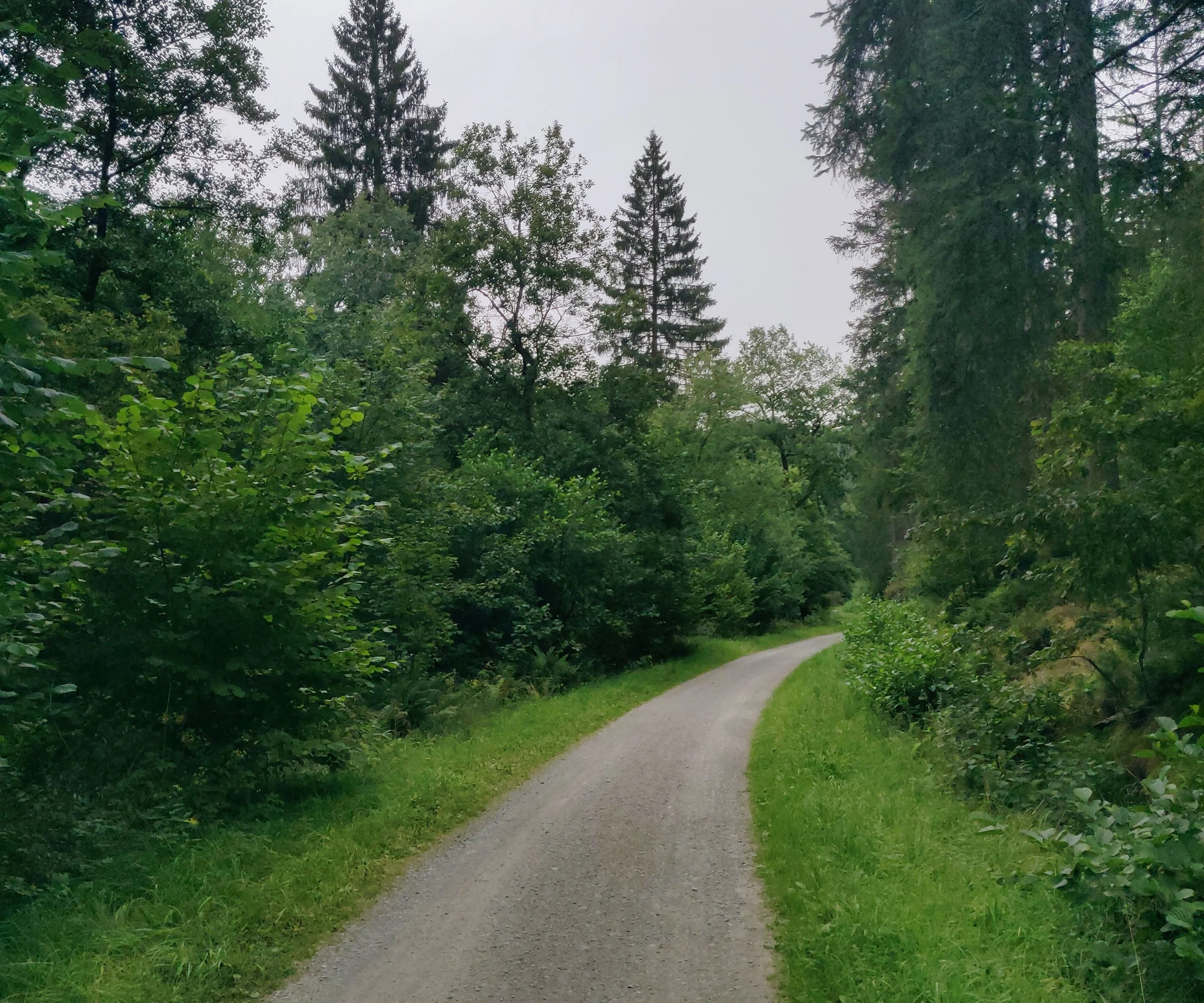 Wasser in all seinen Facetten - Mit dem Fahrrad durch die Eifel über die Vennbahn und den Ahrtalradweg Bild 1