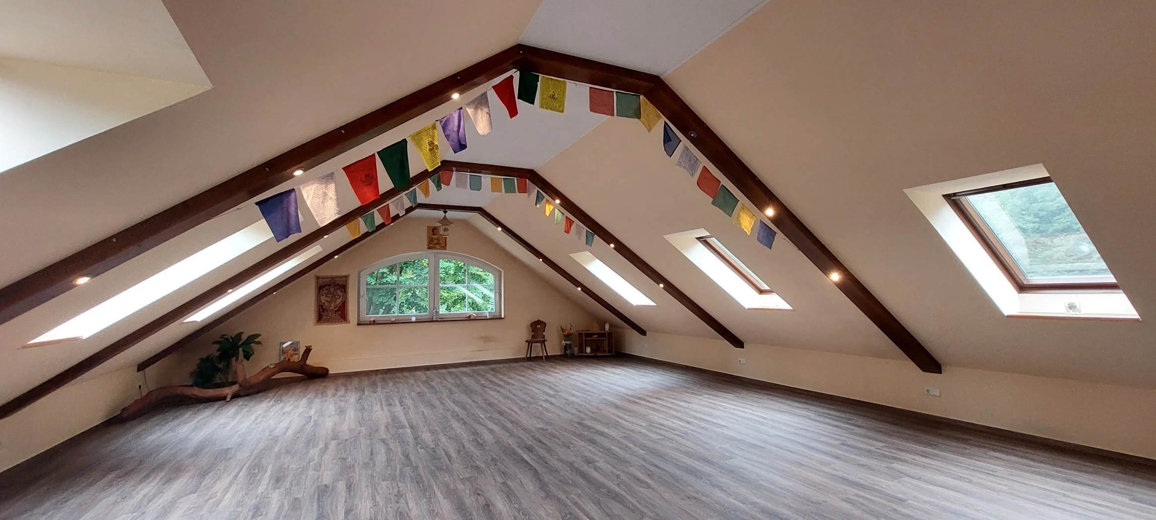 Stressmanagement mit Hatha Yoga & Ausbildung in Pranic Healing<sup>&reg;</sup> (Basic) Bild 2