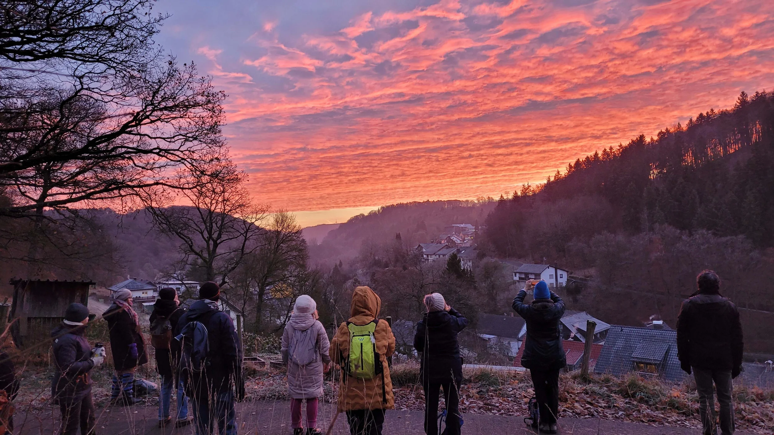 Resilienz stärken in Beruf und Alltag durch Qigong und achtsames Naturerleben Bild 1