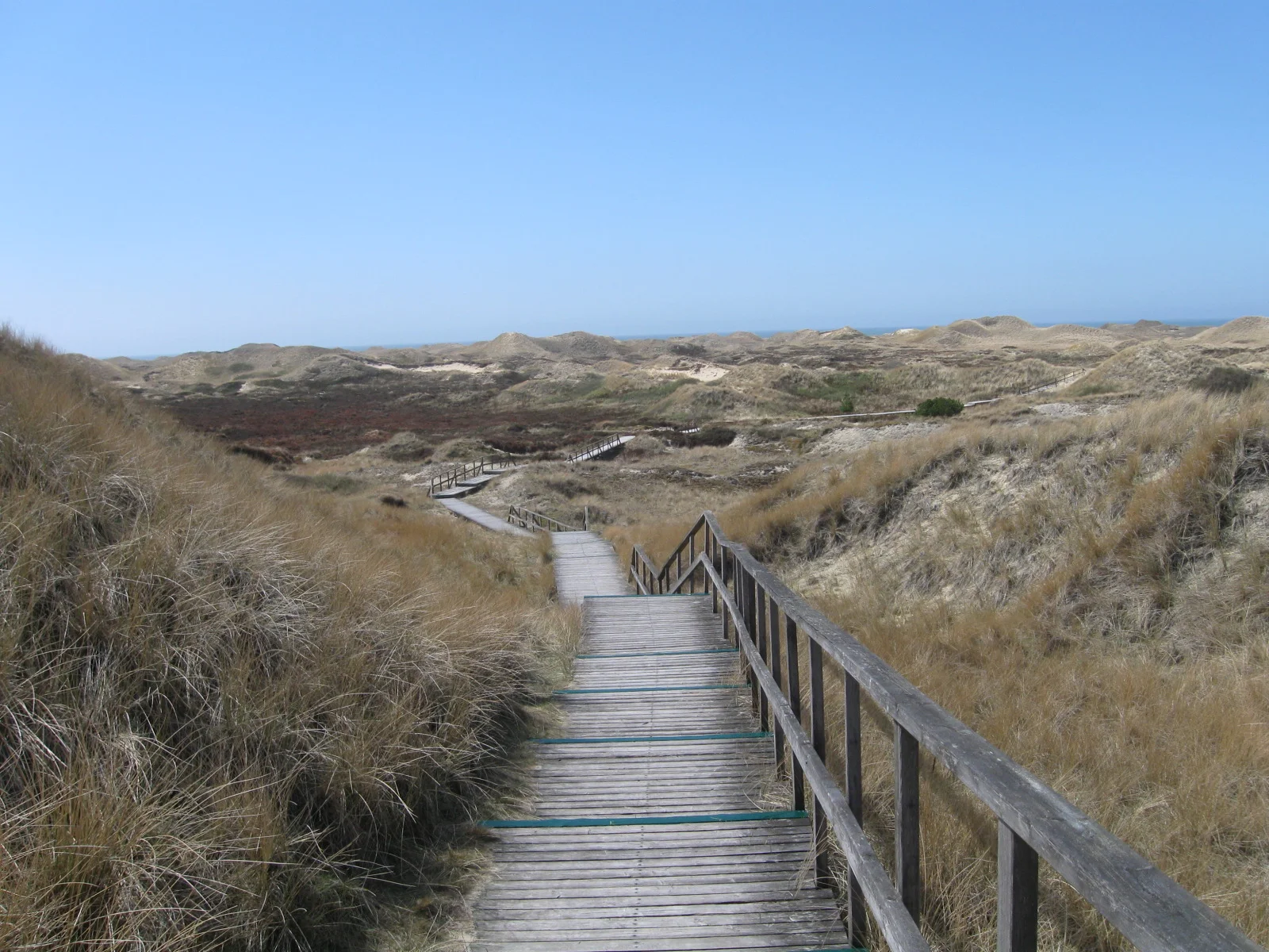 Amrum - durch Nationalpark und Biosphärenreservat bestens geschützt? Bild 2