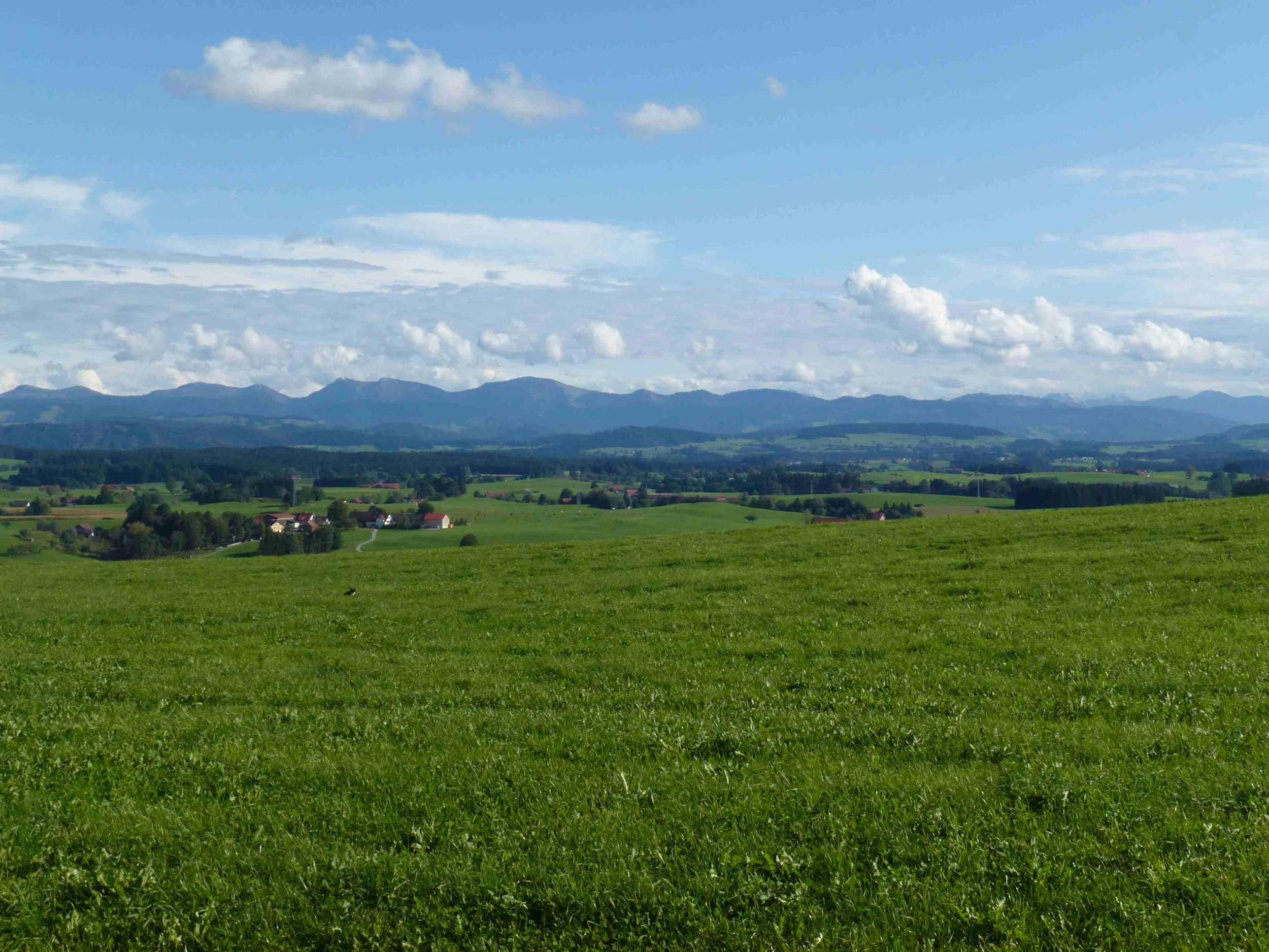 Das Oberschwäbische Allgäu – Entwicklung und Erhalt einer Kulturlandschaft zwischen Tradition und Zukunft Bild 1