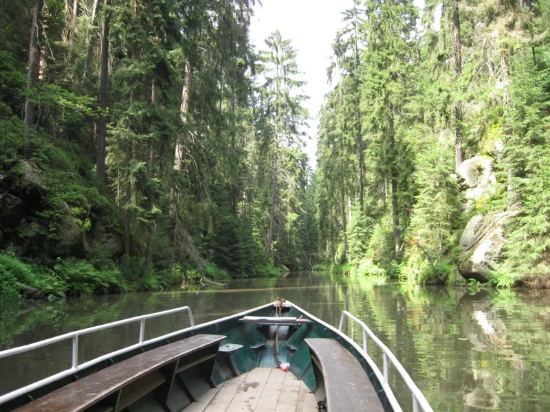 Der Nationalpark Sächsische Schweiz (Elbsandsteingebirge): Ist das schon Wildnis?! Bild 2