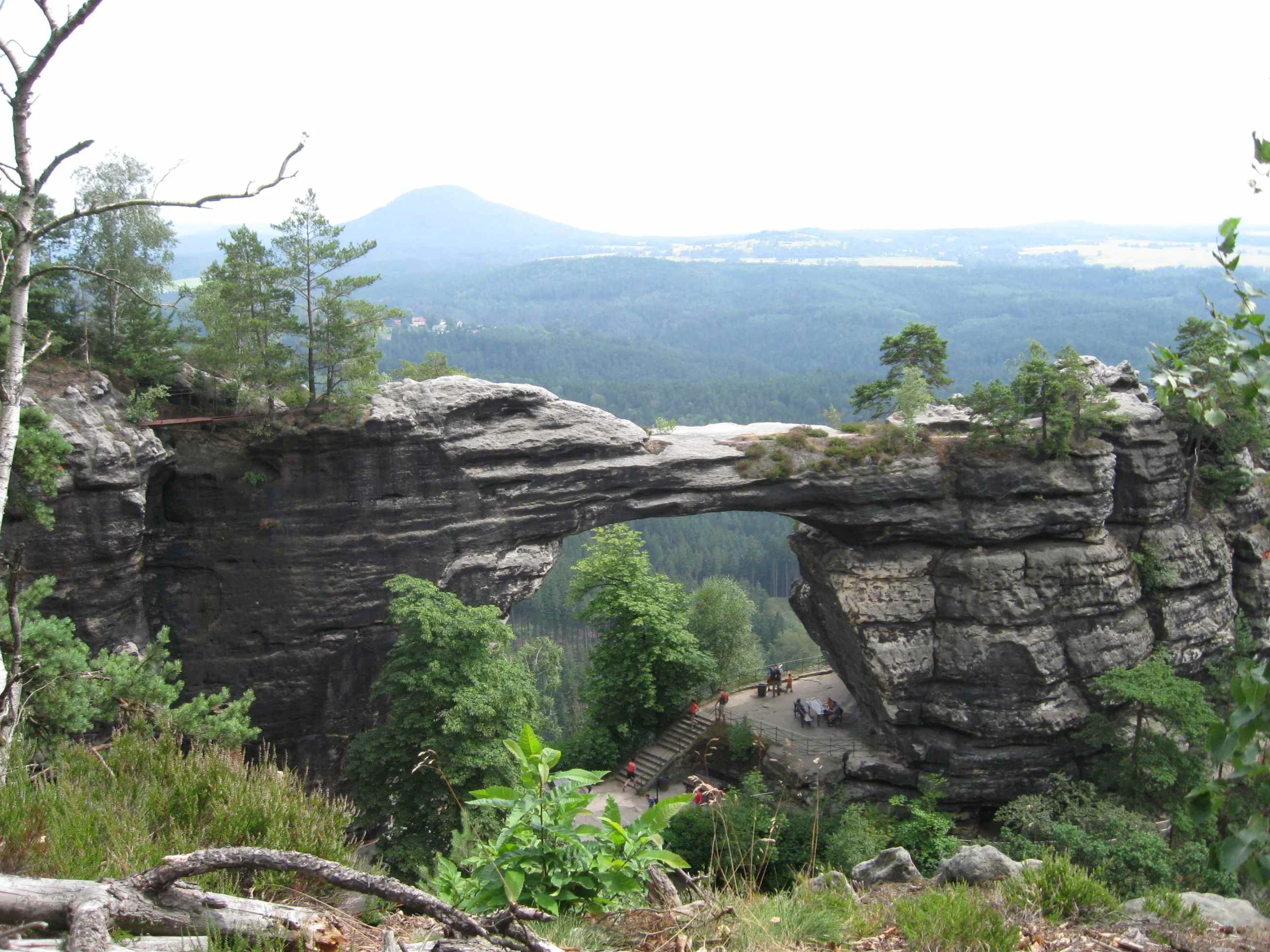 Der Nationalpark Sächsische Schweiz (Elbsandsteingebirge): Ist das schon Wildnis?! Bild 1