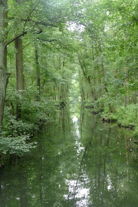 Der Spreewald - eine einzigartige Kulturlandschaft - als Biosphärenreservat geschützt Bild 1